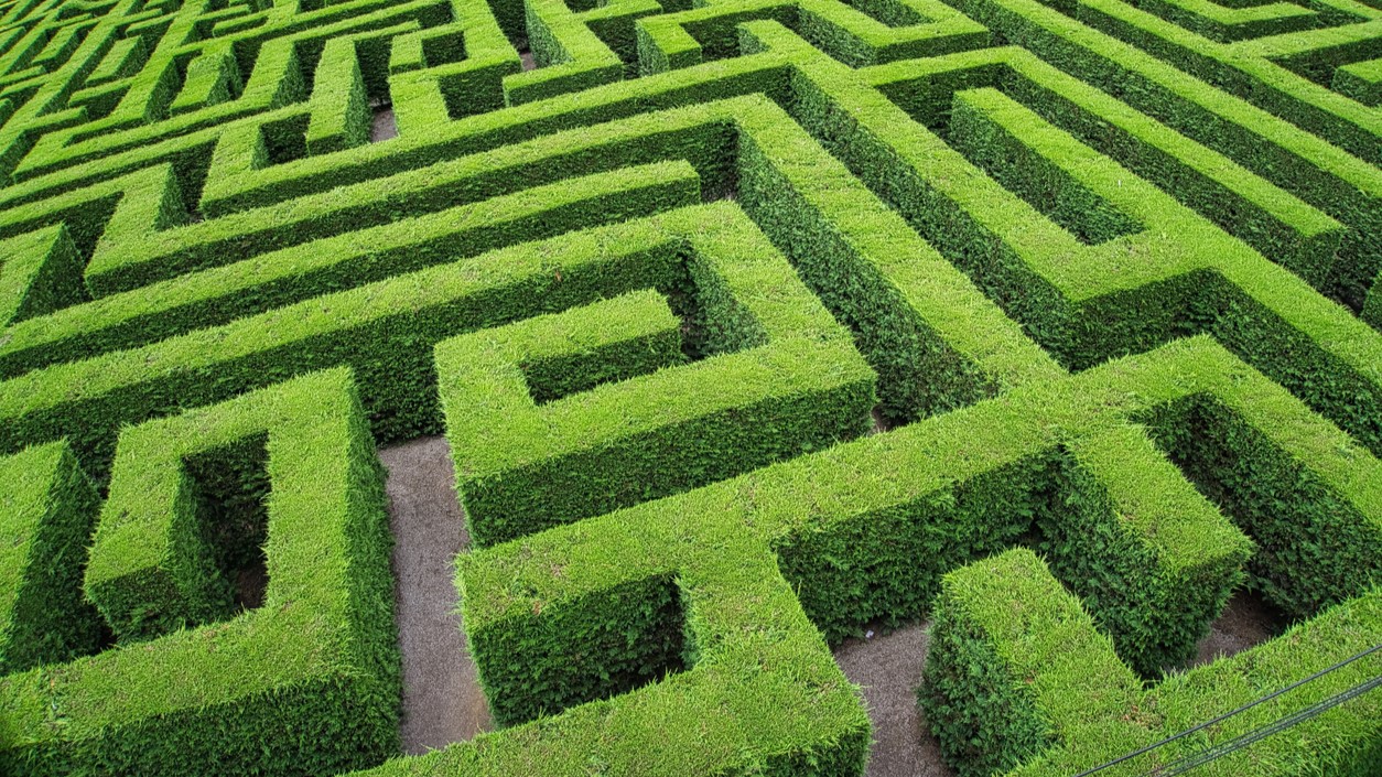 a hedge maze